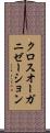 クロス・オーガニゼーション Scroll