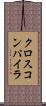 クロスコンパイラ Scroll