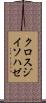 クロスジイソハゼ Scroll