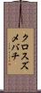クロスズメバチ Scroll