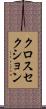 クロスセクション Scroll