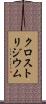 クロストリジウム Scroll