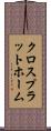 クロスプラットホーム Scroll