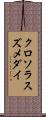 クロソラスズメダイ Scroll