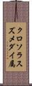 クロソラスズメダイ属 Scroll