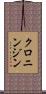 クロニンジン Scroll
