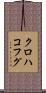 クロハコフグ Scroll