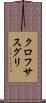 クロフサスグリ Scroll