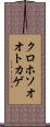 クロホソオオトカゲ Scroll