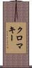 クロマキー Scroll