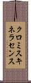 クロミスキネラセンス Scroll
