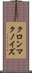 クロンマクノイズ Scroll