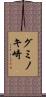グミノキ崎 Scroll
