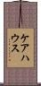 ケアハウス Scroll