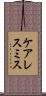 ケアレスミス Scroll