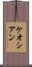 ケオシアン Scroll