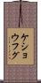 ケショウフグ Scroll