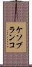 ケソブランコ Scroll