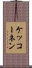 ケッコーネン Scroll