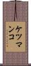 ケツマンコ Scroll