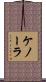ケノーラ Scroll