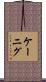 Koenig Scroll