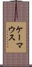 ケーマウス Scroll