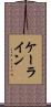 ケーライン Scroll