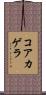 コアカゲラ Scroll
