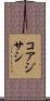 コアジサシ Scroll