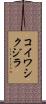 コイワシクジラ Scroll