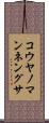 コウヤノマンネングサ Scroll