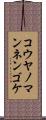 コウヤノマンネンゴケ Scroll