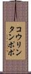 コウリンタンポポ Scroll