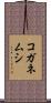 コガネムシ Scroll