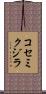 コセミクジラ Scroll