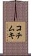 コチムキ Scroll
