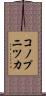 コノプニツカ Scroll