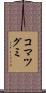 コマツグミ Scroll