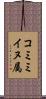 コミミイヌ属 Scroll