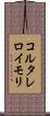 コルタレロイモリ Scroll