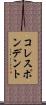 コレスポンデント Scroll