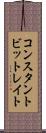 コンスタント・ビット・レイト Scroll