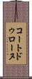 コートドゥローヌ Scroll