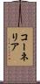 Cornellia Scroll