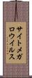 サイトメガロウイルス Scroll