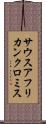 サウスアフリカンクロミス Scroll