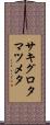 サキグロタマツメタ Scroll