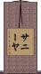 Saniya Scroll