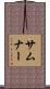 Sumner Scroll